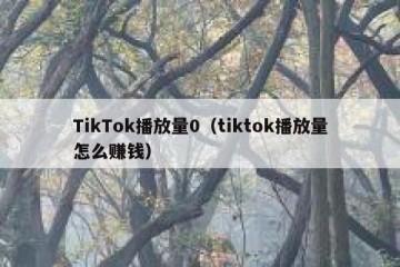 TikTok播放量0（tiktok播放量怎么赚钱）