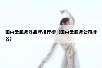 国内云服务器品牌排行榜（国内云服务公司排名）