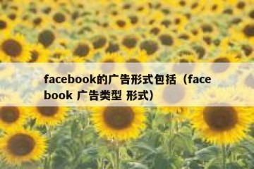 facebook的广告形式包括（facebook 广告类型 形式）