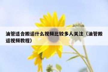 油管适合搬运什么视频比较多人关注（油管搬运视频教程）