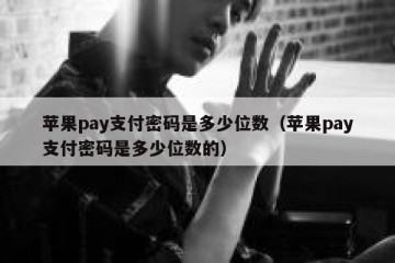 苹果pay支付密码是多少位数（苹果pay支付密码是多少位数的）