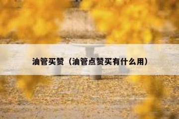 油管买赞（油管点赞买有什么用）