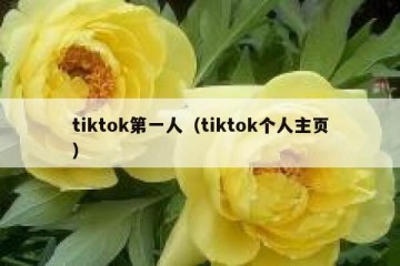 tiktok第一人（tiktok个人主页）