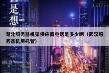 湖北服务器机架供应商电话是多少啊（武汉服务器机房托管）