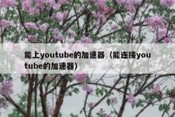 能上youtube的加速器（能连接youtube的加速器）
