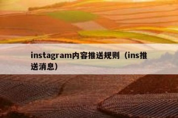 instagram内容推送规则（ins推送消息）