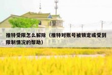 推特受限怎么解除（推特对账号被锁定或受到限制情况的帮助）