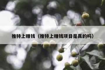 推特上赚钱（推特上赚钱项目是真的吗）
