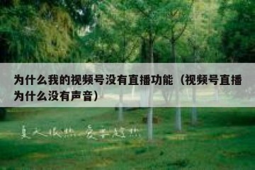 为什么我的视频号没有直播功能（视频号直播为什么没有声音）