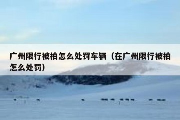 广州限行被拍怎么处罚车辆（在广州限行被拍怎么处罚）