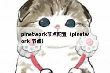 pinetwork节点配置（pinetwork 节点）