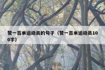 赞一百米运动员的句子（赞一百米运动员100字）