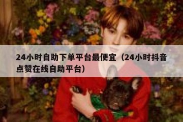 24小时自助下单平台最便宜（24小时抖音点赞在线自助平台）