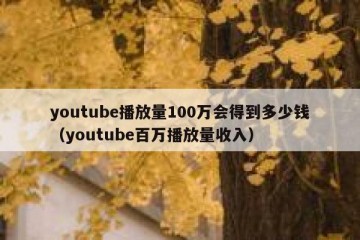 youtube播放量100万会得到多少钱（youtube百万播放量收入）