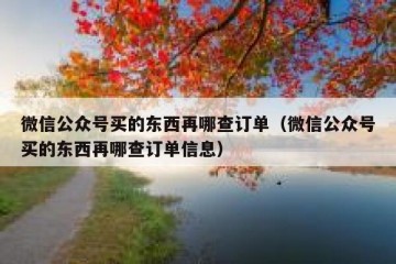 微信公众号买的东西再哪查订单（微信公众号买的东西再哪查订单信息）