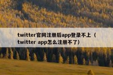twitter官网注册后app登录不上（twitter app怎么注册不了）