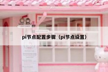 pi节点配置步骤(pi节点设置)