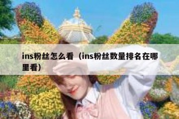 ins粉丝怎么看（ins粉丝数量排名在哪里看）