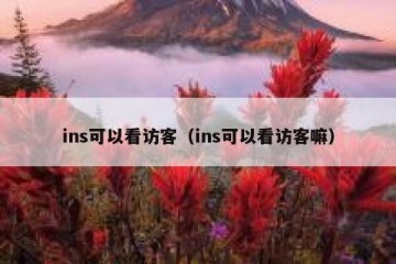 ins可以看访客（ins可以看访客嘛）