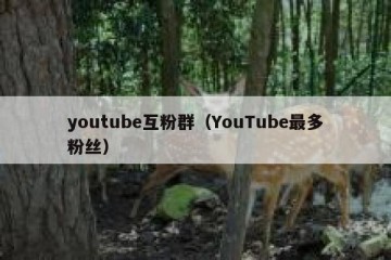 youtube互粉群（YouTube最多粉丝）
