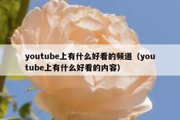 youtube上有什么好看的频道（youtube上有什么好看的内容）
