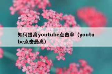 如何提高youtube点击率（youtube点击最高）