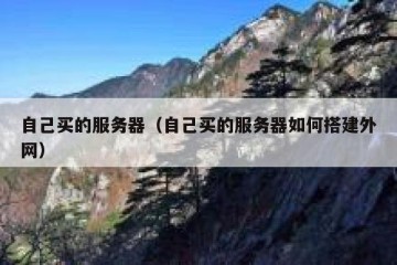 自己买的服务器（自己买的服务器如何搭建外网）