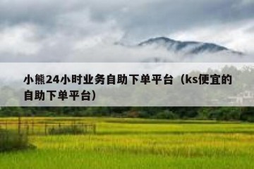 小熊24小时业务自助下单平台（ks便宜的自助下单平台）