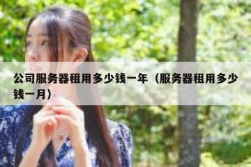 公司服务器租用多少钱一年（服务器租用多少钱一月）