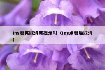 ins赞完取消有提示吗（ins点赞后取消）