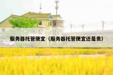 服务器托管便宜（服务器托管便宜还是贵）