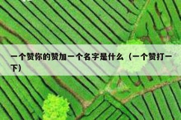 一个赞你的赞加一个名字是什么（一个赞打一下）