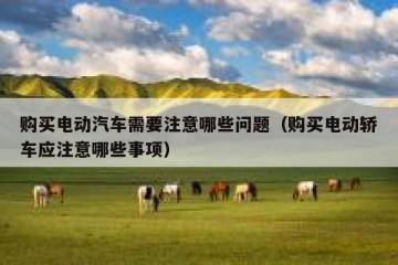 购买电动汽车需要注意哪些问题（购买电动轿车应注意哪些事项）