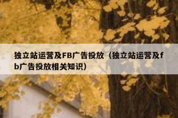 独立站运营及FB广告投放（独立站运营及fb广告投放相关知识）