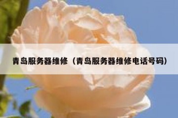 青岛服务器维修（青岛服务器维修电话号码）
