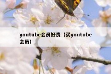 youtube会员好贵（买youtube会员）