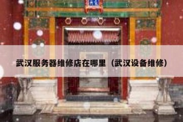 武汉服务器维修店在哪里（武汉设备维修）