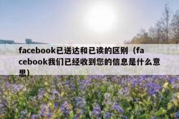 facebook已送达和已读的区别（facebook我们已经收到您的信息是什么意思）