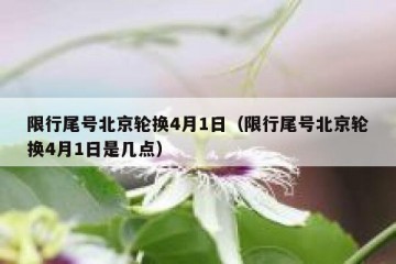 限行尾号北京轮换4月1日（限行尾号北京轮换4月1日是几点）