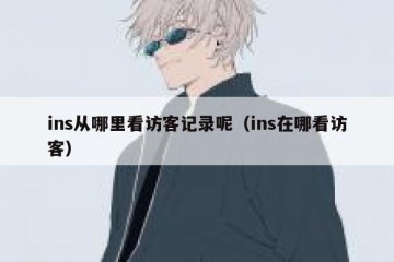 ins从哪里看访客记录呢（ins在哪看访客）
