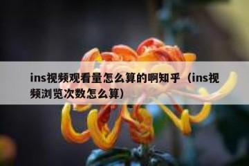 ins视频观看量怎么算的啊知乎（ins视频浏览次数怎么算）