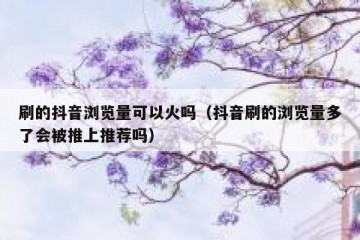 刷的抖音浏览量可以火吗（抖音刷的浏览量多了会被推上推荐吗）