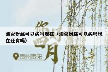 油管粉丝可以买吗现在（油管粉丝可以买吗现在还有吗）