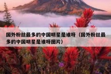 国外粉丝最多的中国明星是谁呀（国外粉丝最多的中国明星是谁呀图片）