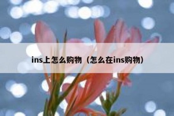 ins上怎么购物（怎么在ins购物）