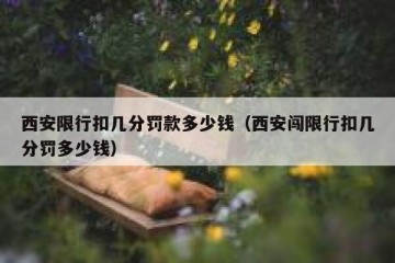 西安限行扣几分罚款多少钱（西安闯限行扣几分罚多少钱）