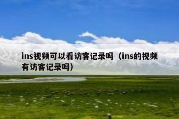 ins视频可以看访客记录吗（ins的视频有访客记录吗）