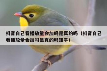 抖音自己看播放量会加吗是真的吗（抖音自己看播放量会加吗是真的吗知乎）