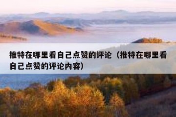 推特在哪里看自己点赞的评论（推特在哪里看自己点赞的评论内容）