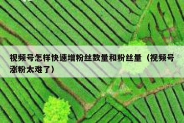 视频号怎样快速增粉丝数量和粉丝量（视频号涨粉太难了）